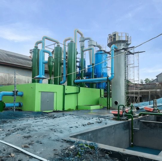 Biomass Cogeneration Plant